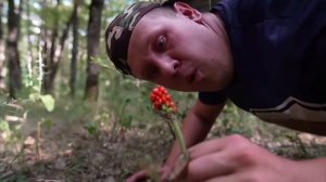 Lavrensem - ЗАБЛУДИЛИСЬ В ЛЕСУ | Сериал БРАТИКИ - 193 серия / Реакция