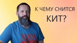 КИТ. К чему снится Кит.
