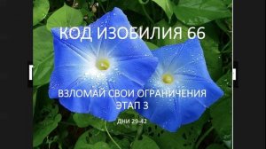 КОД ИЗОБИЛИЯ 66 этап 3