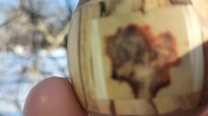 Шкатулка в зимнем парке на калине