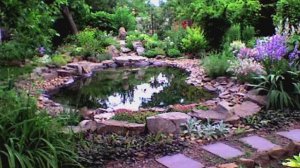 Подарок для незнакомца ....