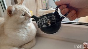 голь на выдумки хитра