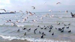 Анапа 21 февраля 2026 море ✅📌 📍