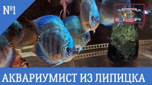 АКВАРИУМИСТ ИЗ ЛИПЕЦКА. ЗНАКОМЬТЕСЬ!