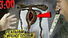 жутко Мы решили разрезать серенагово в 3:00 ночи