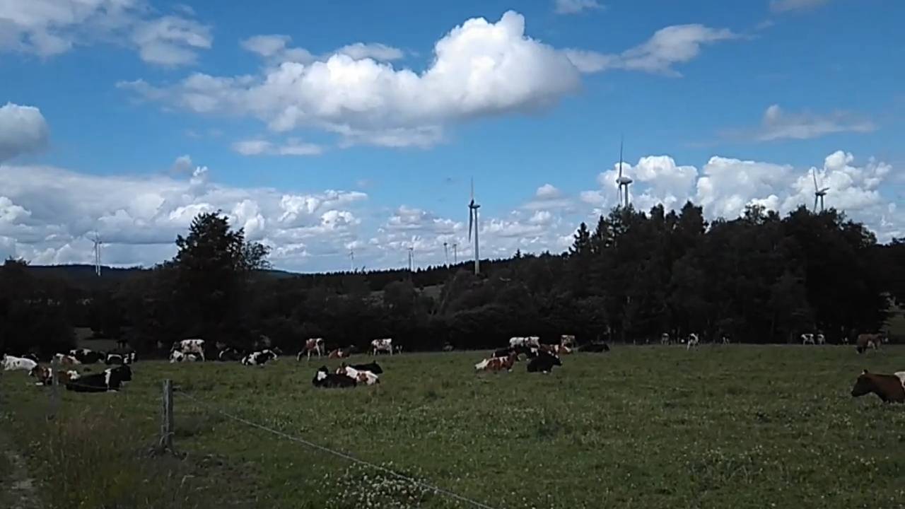 Thüringer Mösen Uncut - (VK Version)