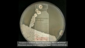 21. Садаков А.Д. Конкурс видеороликов РКММИ