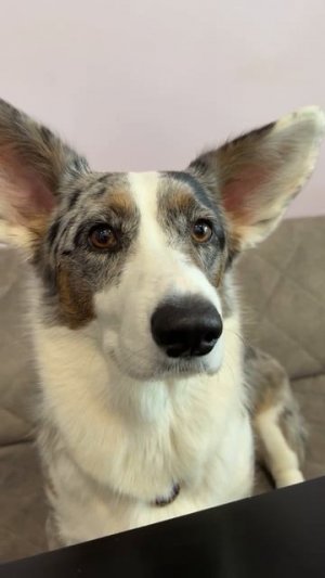 Мне кажется у меня где-то обманули.