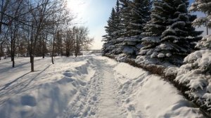 Зимнее утро.mp4