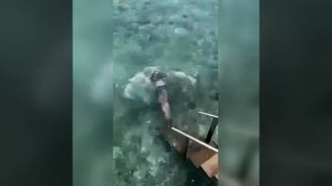 Видео от МЭН - Мне Это Нравится