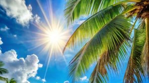 играю в мир денди