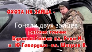 Гоняли двух зайцев - русские гончие Буран и Раскат вл. Рева М. и  Ю-Говоруша  вл. Шатров В.