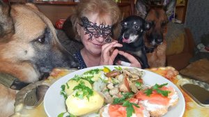 Мукбанг ЗАКУСОЧНЫЕ Бутербродики Для СОБАЧЕК! Жесть! сказали Что в Доме им НЕ Место!