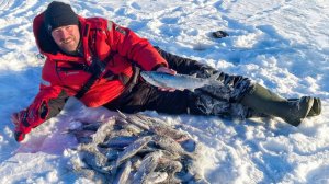 ЛЕСКА ЗВЕНИТ, РЫБА КЛЮЁТ, ЛОВЛЯ МИРНОЙ РЫБЫ НА МОРМЫШКУ, ГЛУХОЗИМЬЕ ЗАКАНЧИВАЕТСЯ, ВЕСНА ВСЁ БЛИЖЕ!