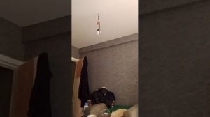 АЛЛАГЬ Велик ❤️