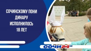 Сочинскому пони Динару исполнилось 18 лет