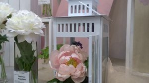 Выставка пионов в Ботаническом саду. 02.07.2022