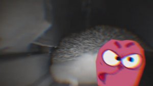 Ёжик чихнул