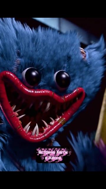 Встреча Хагги и Кисси