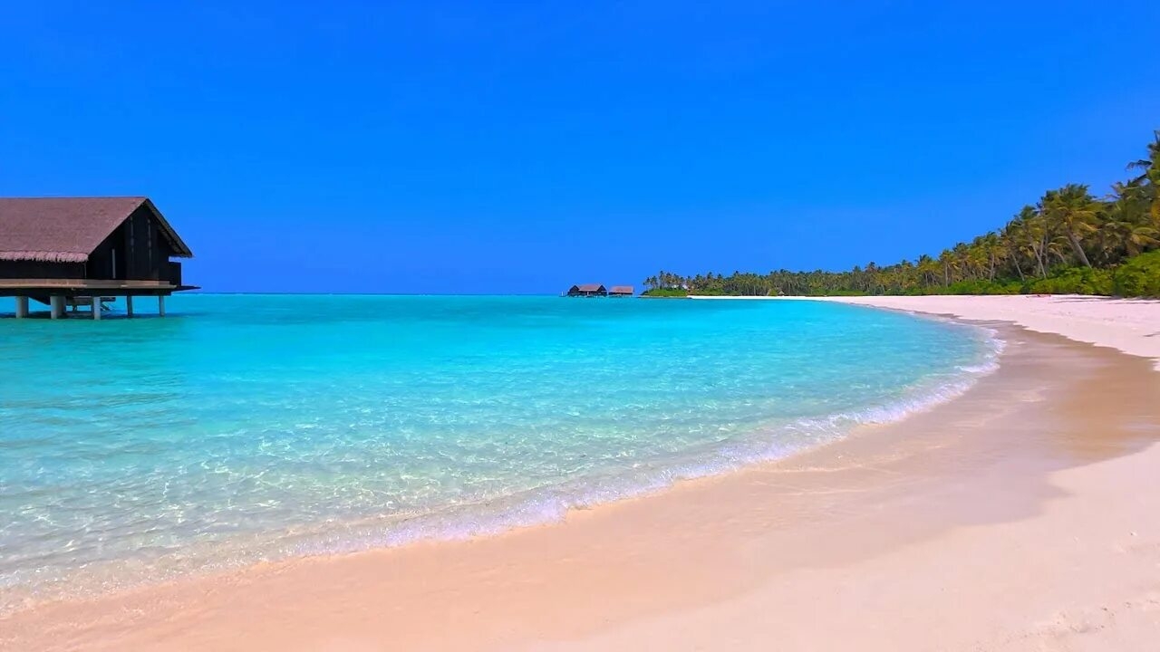 KISS ME - $ FRAME-DRAGGING $ - ОПТИМИСТИЧНАЯ