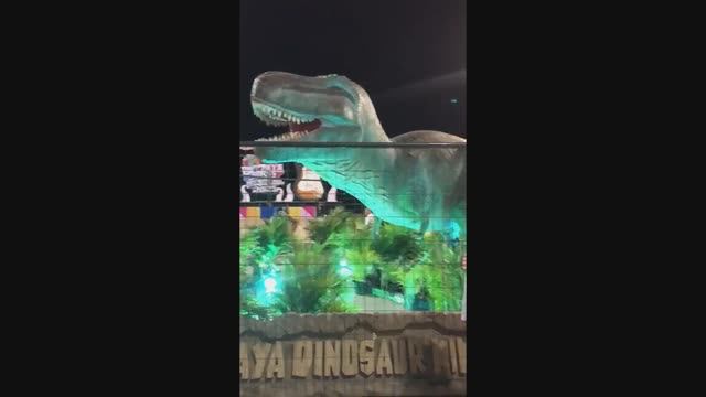 Пёстрый мир Тайланда