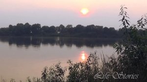 Рыбалка. Истории из жизни. Жизненные истории. Рыбалка 2021. Авторский рассказ. Моя история