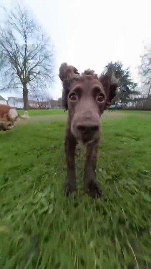 THE FLASH ⚡️ #shorts #edm #rave #viral