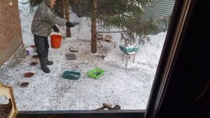 утро с красивыми гостями