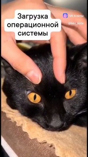 Загрузка операционной системы