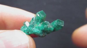 Диопатаз купить