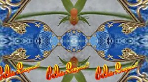 С Днём Рождения! Зимняя Сказка из Роз 4 от Киностудии Мудрого Кота Тимофея!!!