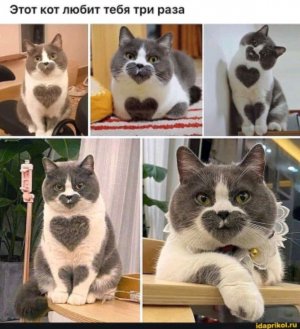 Просто пришла