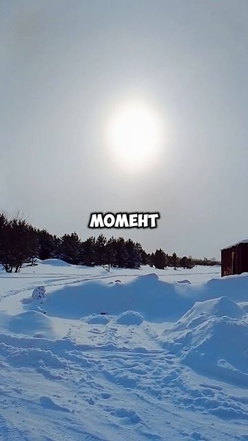 Парадокс одиночества