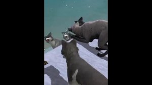 Мини фильм WildCraft "Никому не нужные"  4 серия 1 сезон(финал 1 сезона)