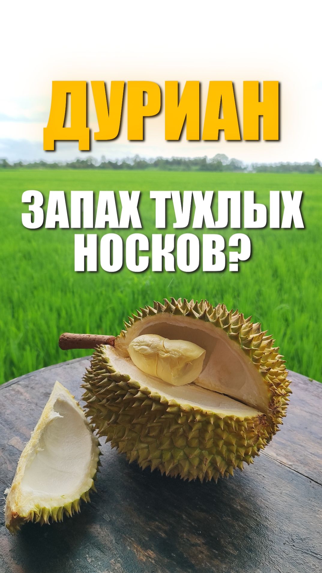 Дуриан - запах тухлых носков?