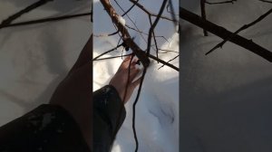 Знакомство