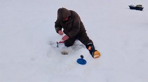 ЛОВЛЯ ФОРЕЛИ НА 1-м Га РК "Фишка Петряиха"