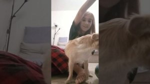 ухаживаем за питомцами с Варей