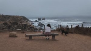 КАК ВЫЖИВАЕТ РУССКОЯЗЫЧНАЯ МОЛОДЕЖЬ В ЛАТИНСКОЙ АМЕРИКЕ.   Моя девушка не знает, что я еду к ней.