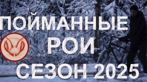 Роеловный сезон 2025. Особенности