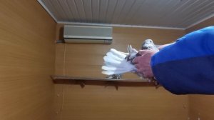 VID_20241129_101032.mp4