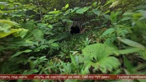 25.02.2025 Сахалинские блоги. КУРБЕЛЬ И КУРВИМЕТР. Железная дорога