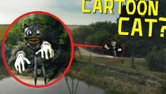 Вы не поверите мой Дрон заснял