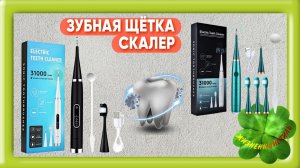 ЗУБНАЯ ЩЁТКА + СКАЛЕР Арт: ALI2859385769