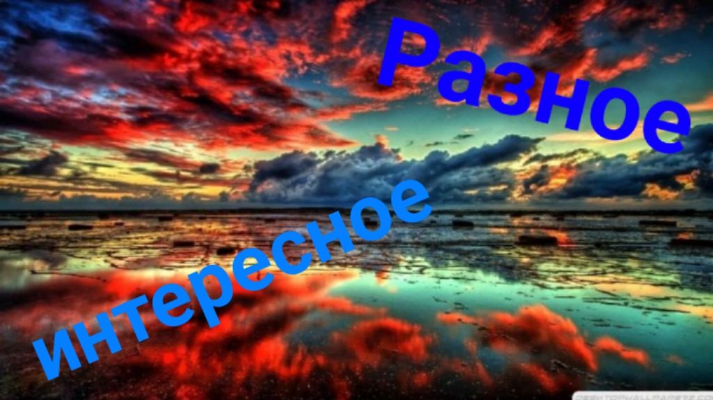 Интересные видео смотреть онлайн