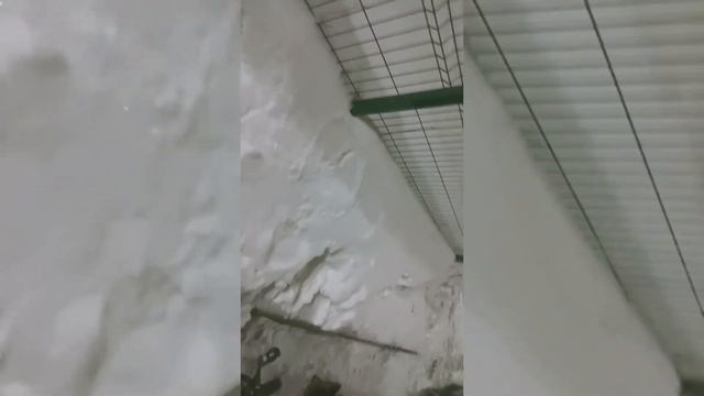 В снегу потерял обручальное кольцо