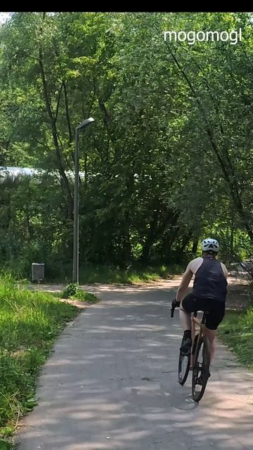 Битцевский парк