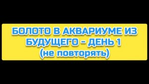 БОЛОТО В АКВАРИУМЕ ИЗ БУДУЩЕГО - ДЕНЬ 1