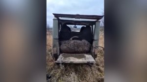 Столичные браконьеры