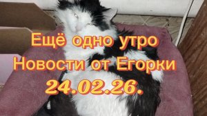 Ещё одно утро.Новости от Егорки 24.02.26.